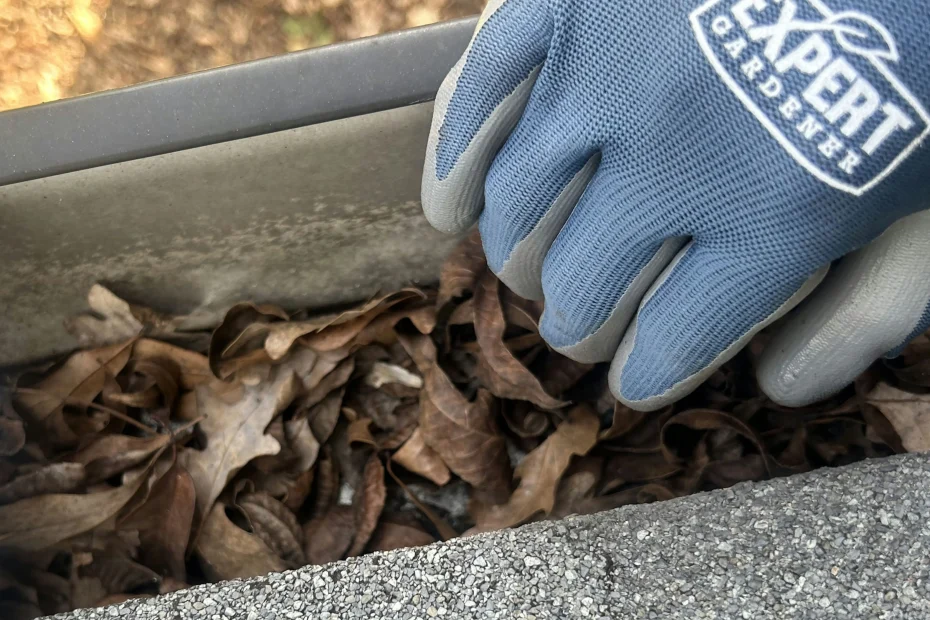 Gutter Cleaning Aldine, TX