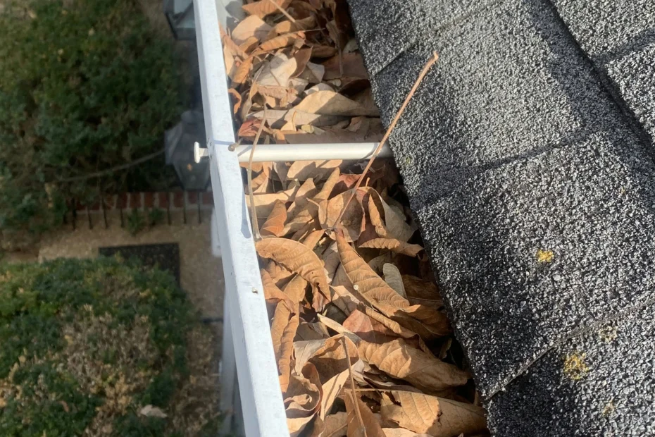 Gutter Cleaning Aldine, TX