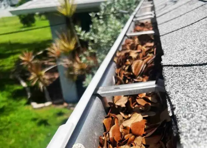 Gutter Cleaning Aldine, TX home page